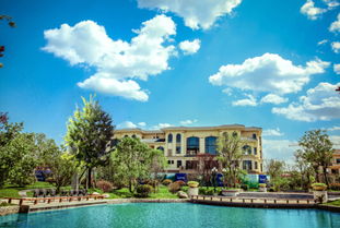 新春特惠 10套特價(jià)房最后一周