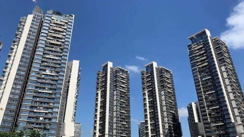 優(yōu)化租房積分入學(xué)政策 深圳住建局發(fā)布最新措施并公開征求意見